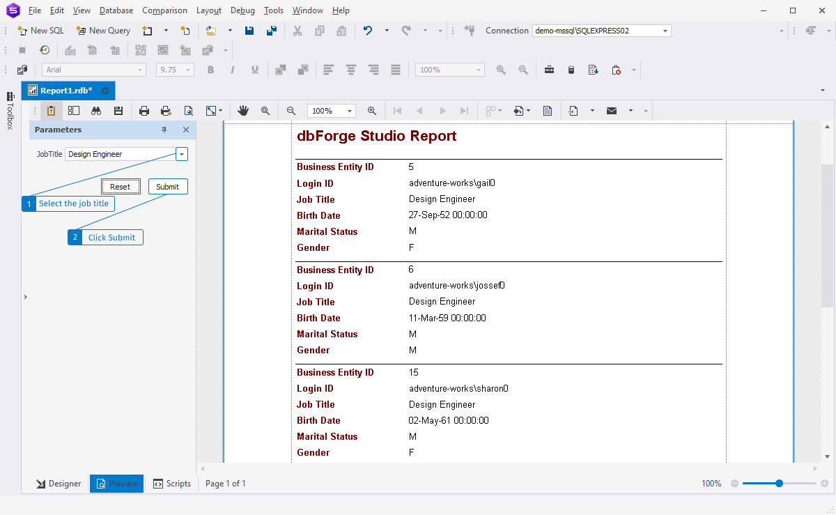 Preview the SQL Report