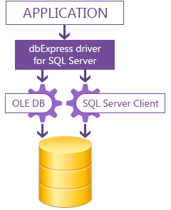 dbExpress driver for fast access to SQL Server databases from Delphi