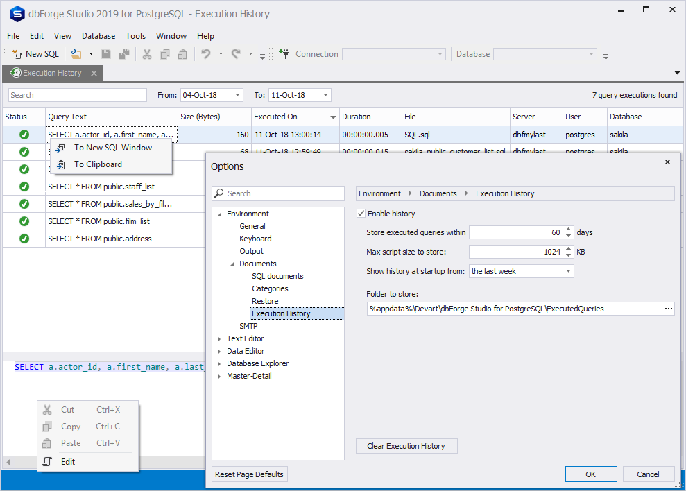 The possibility to view query execution history
