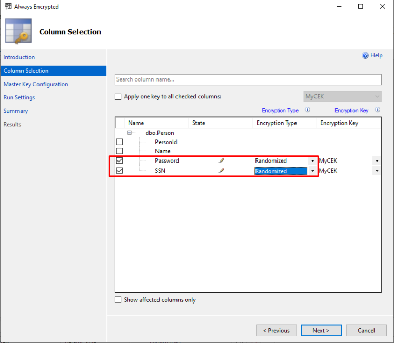 Column-Level SQL Server Encryption Example Using SQL Complete - Devart Blog