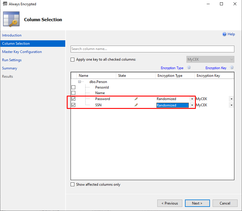 Selecting columns to be encrypted and types in SSMS