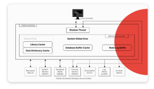 Difference between Database and Schema