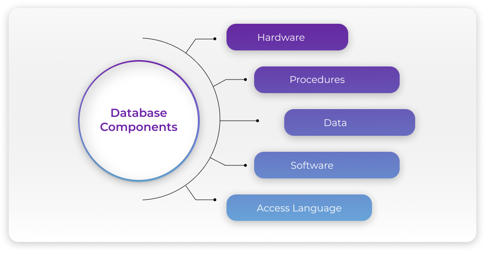 View database components