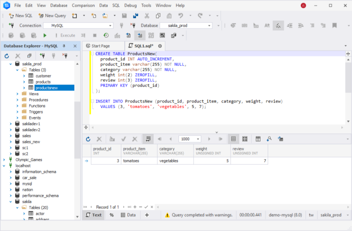 MySQL INT (INTEGER) Data Types with Different Examples