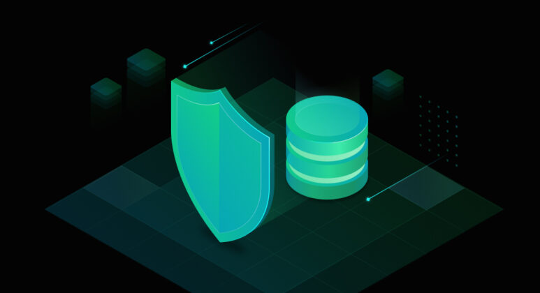 Database Security: Main Issues & Best Protection Techniques