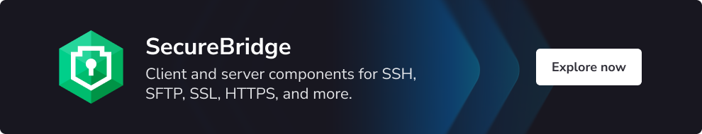 Download SecureBridge