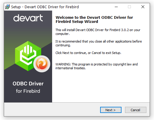 Devart ODBC Driver for Firebird screenshot