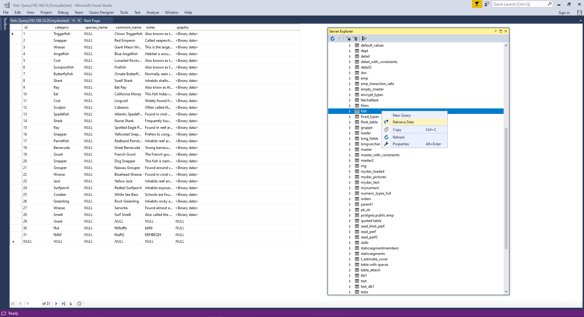 Retrieve database to Visual Studio