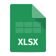 XSLX Format